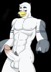 abs anthro balls biceps circumcised erection feathers genitals humanoid_genitalia humanoid_penis male muscular muscular_anthro muscular_male nipples non-mammal_balls nude pecs penis solo standing vein raccoondouglas brogulls ayden_(brogulls) avian bird gull lari larid absurd_res alpha_channel hi_res