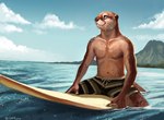 anthro bottomwear clothed clothing fur hawaii island male sea shorts smile solo summer surfboard swimming_trunks swimwear topless topless_anthro topless_male water year trunorth mammal mustelid otter 2016 artist_name signature