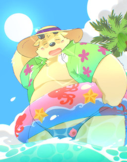 anthro belly big_belly clothed clothing cloud eyes_closed eyewear kemono male moobs open_clothing open_shirt open_topwear overweight overweight_male palm_tree plant shirt solo sun sunglasses swimwear topwear tree water ginsingoo1 canid canine canis domestic_dog mammal 2024 hi_res