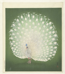 avian_feet beak biped bipedal_feral cjk_character feathered_crest feathered_wings feathers feral green_background head_crest male male_feral peacock_feather scuted_feet scuted_legs scutes simple_background solo standing tail tail_feathers text white_body white_feathers wings ohara_koson public_domain avian bird galliform peafowl phasianid 20th_century absurd_res ancient_art hi_res japanese_text traditional_media_(artwork)