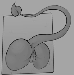 ambiguous_form anus butt butt_shot female freckled_butt freckles genitals grey_background humanoid_genitalia humanoid_vulva raised_tail rear_view simple_background small_butt solo spade_tail tail three-quarter_view vulva 4chan_anon ambiguous_species 2025 digital_drawing_(artwork) digital_media_(artwork) greyscale monochrome shaded soft_shading