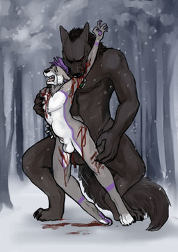 abdominal_bulge anal anal_penetration anthro bite bite_mark black_body black_fur blood bodily_fluids claws crouching duo feet forced fur genitals gore_focus grey_body grey_fur intraspecies male male/male male_penetrated male_penetrating male_penetrating_male paws penetration purple_body purple_fur rape sex tears tears_of_pain toe_claws toes torakuta mythology damien_woof rukai_(rukai_werewolf) canid canine canis mammal mythological_canine mythological_creature werecanid werecanine werecreature werewolf wolf hi_res