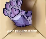 amber_eyes box container fangs female feral first_person_view fur pawpads paws purple_body purple_fur teeth rutkotka hasbro mlp_g5 my_little_pony allura_(mlp) felid mammal pantherine snow_leopard meme tagme