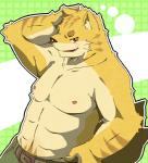 anthro belt biceps black_nose bottomwear clothed clothing eyebrows kemono male muscular muscular_anthro muscular_male nipples pants pose solo teeth topless hinami felid mammal pantherine tiger