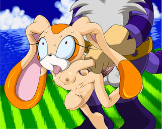 abdominal_bulge anthro arm_pull balls big_penis bodily_fluids dominant duo erection faceless_character faceless_male female female_penetrated flat_chested from_behind_position genitals huge_penetration huge_penis hyper hyper_genitalia hyper_penis larger_dom larger_male male male/female male_penetrating male_penetrating_female nipples open_mouth outside penetration penile penile_penetration penis penis_shaped_bulge prison_guard_position sex size_difference smaller_female smaller_penetrated standing sweat tongue tongue_out wide_eyed young young_anthro young_female kandlin sega sonic_the_hedgehog_(series) big_the_cat cream_the_rabbit domestic_cat felid feline felis lagomorph leporid mammal rabbit source_request