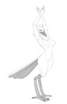 anthro avian_feet beak breasts feathers female genitals hair looking_at_viewer nipples nude pose pussy simple_background smile solo tail tail_feathers das avian bird monochrome