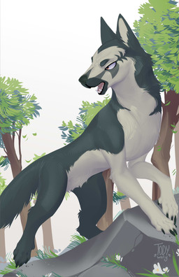 ambiguous_gender claws countershade_torso countershading feet feral front_view fur looking_back open_mouth outside plant solo standing tail teeth toes tongue tree togaed canid canine mammal 2026 absurd_res digital_drawing_(artwork) digital_media_(artwork) hi_res