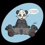 anthro anus breasts dreamworks_smirk female genitals looking_at_viewer nipples pussy solo spread_legs spreading teasing teasing_viewer chunkypandaroo nintendo pokemon bear generation_6_pokemon mammal pancham pokemon_(species) 1:1 alpha_channel hi_res