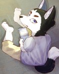 2022 4_toes absurd_res akita akita_inu anthro barefoot black_body black_fur blue_clothing blue_eyes blue_shirt blue_topwear blush bottomwear canid canine canis child clothing domestic_dog feet fur gabobon05 game_boy_advance_sp game_boy_family gaming hi_res kemono looking_at_viewer male mammal nintendo pants playing_videogame serious shirt sitting spitz tail toes topwear white_body white_fur young young_anthro young_male