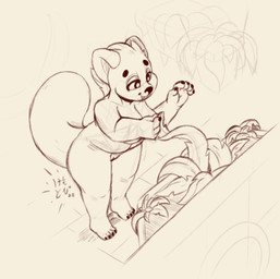 anthro barefoot belly breasts eyebrows eyelashes feet female genitals happy nude nudist plant slightly_chubby smile solo vulva kemotobi maple_(kemotobi) ailurid mammal red_panda 2022 sketch