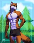 abs anthro clothing fur male muscular muscular_anthro muscular_male orange_body orange_fur solo underwear white_body white_fur feralise scott_(scottthefox94) canid canine fox mammal 4:5