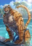 abs anthro biceps bulge clothing detailed_bulge fur hair looking_at_viewer male muscular muscular_anthro muscular_male nipples open_mouth orange_body orange_fur outside partially_submerged pecs solo striped_body striped_fur stripes tail tan_body tan_fur underwear vein water wet wet_body wet_clothing white_hair yukihoshiak felid mammal pantherine tiger absurd_res hi_res