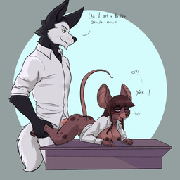 anthro areola bottomless bottomless_anthro bottomless_female bottomless_male breasts buckteeth clothed clothing desk dialogue duo erection feet female female_penetrated from_behind_position fur furniture genitals hair half-closed_eyes holding_leg humanoid_genitalia humanoid_penis larger_male looking_pleasured lying male male/female male_penetrating male_penetrating_female narrowed_eyes nipples on_desk on_front open_clothing open_mouth open_topwear penetration penile penile_penetration penis sex shirt size_difference smaller_female smaller_penetrated smile standing standing_sex student table tail teacher teacher_and_student teeth text toes topwear unprofessional_behavior vaginal vaginal_penetration el-gallo canid canine canis domestic_dog husky mammal mouse murid murine nordic_sled_dog rodent spitz 1:1 digital_media_(artwork) english_text hi_res