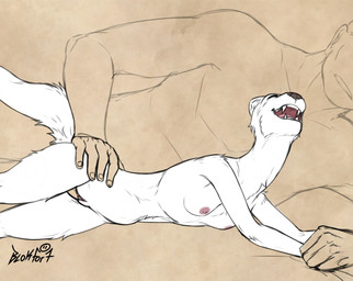 abdominal_bulge anthro anthro_penetrated breasts erection eyes_closed female female_anthro female_penetrated fur genitals human_on_anthro human_penetrating human_penetrating_anthro humanoid_genitalia humanoid_penis humanoid_vulva interspecies large_penetration larger_male lying male male/female male_human male_penetrating male_penetrating_anthro male_penetrating_female nipples nude open_mouth penetration penile penile_penetration penis sex simple_background size_difference vaginal vaginal_penetration vulva white_body white_fur blokfort human mammal mustelid musteline stoat true_musteline weasel 2026