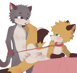 anal anal_penetration anthro anthro_on_anthro anthro_penetrated anthro_penetrating balls bed breath brown_ears brown_markings collar duo erection forced fur furniture genitals gradient_penis grey_body grey_fur humanoid_genitalia humanoid_penis leash leash_pull male male/male male_penetrated male_penetrating male_penetrating_male markings multicolored_body multicolored_fur nude nude_anthro nude_male on_bed open_mouth panting penetration penile penile_penetration penis penis_in_ass rape red_collar sex simple_background small_penis tongue tongue_out underbelly white_background white_balls white_markings young young_anthro young_male young_on_young zachyyy nekowuwu_(character) canid canine canis domestic_dog mammal shiba_inu spitz absurd_res hi_res