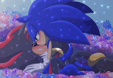 anal anal_penetration anthro anus barefoot black_body black_fur blue_body blush butt clothing cowgirl_position duo erection eyes_closed feet flower from_front_position fur genitals gloves half-closed_eyes handwear looking_down lying male male/male male_on_bottom male_on_top male_penetrated male_penetrating male_penetrating_male narrowed_eyes nude on_back on_bottom on_ground on_top penetration penis plant quills_(anatomy) sex sitting smile straddling angelofhapiness sega sonic_the_hedgehog_(series) shadow_the_hedgehog sonic_the_hedgehog eulipotyphlan hedgehog mammal hi_res