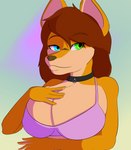 5_fingers anthro arm_under_breast big_breasts blue_eyes bra breasts brown_eyebrows brown_hair brown_nose clothed clothing collar eyebrows female fingers fur green_eyes hair hand_on_breast heterochromia orange_body orange_fur solo underwear callie_senta canid canine canis dingo mammal hi_res