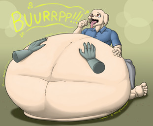 anthro belly belly_rub big_belly burping clothing duo fangs feet huge_belly hyper hyper_belly male male/male obese obese_male overweight overweight_male school_uniform teeth tongue uniform wolfgerlion64 beastars jack_(beastars) legoshi_(beastars) canid canine canis domestic_dog mammal wolf absurd_res hi_res