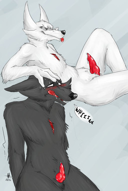 amputee animal_genitalia animal_penis anthro blood bodily_fluids crossgender disability duo empty_eyes erection ftm_crossgender genital_fluids genitals knot male penis pm precum scar tongue white_eyes wounded conditional_dnp wolftacos homestuck ms_paint_adventures bec_blanche bec_noir canid canine mammal absurd_res digital_media_(artwork) hi_res