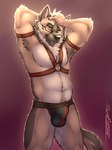 anthro bulge clothing detailed_bulge eyewear genital_outline glasses harness jockstrap looking_at_viewer male sheath_outline solo tail thighs_up underwear tsaiwolf anielde canid canine canis domestic_dog german_shepherd herding_dog mammal pastoral_dog 2024 3:4 hi_res