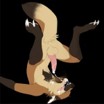 animal_genitalia animal_penis anthro anus autofellatio balls black_background blue_eyes bodily_fluids brown_body brown_fur canine_genitalia canine_penis chest_tuft claws cum cum_drool cum_in_mouth cum_in_own_mouth cum_in_self cum_inside cum_on_face cum_on_own_face cum_on_own_tongue cum_on_self cum_on_tongue dripping erection feet fur genital_fluids genitals hindpaw knot male masturbation messy nude open_mouth oral oral_masturbation paws penile penile_masturbation penis shoulder_stand simple_background solo tail tapering_penis tongue tuft upside_down neltruin izzywolfram canid canine fox mammal 1:1