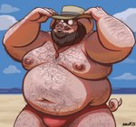 anthro armpit_hair beach beard belly body_hair chest_hair clothing facial_hair hair hat headgear headwear male mustache navel nipples overweight overweight_male shadow solo swimming_trunks swimwear nanoff joe_(nanoff) domestic_pig mammal suid suine sus_(pig) 2025 hi_res