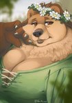 5_fingers anthro big_breasts big_cheeks black_nose blurred_background breasts brown_body brown_eyes brown_fur brown_hair chubby_cheeks claws cleavage clothed clothing dipstick_limbs eyebrows eyelashes female fingers flower flower_crown fluffy_ears fur green_clothing green_topwear hair hand_on_cheek huge_breasts lips looking_at_viewer mature_female neck_tuft overweight overweight_female plant smile solo thick_bottom_lip topwear tuft wrinkles noviraine nora_(tasanko) bear brown_bear mammal ursine 2024 digital_media_(artwork) portrait signature