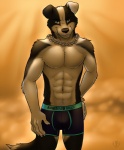 abs anthro biceps big_muscles biped black_body black_clothing black_fur black_nose black_underwear blue_eyes boxer_briefs bulge chain chest_tuft claws clothed clothing collar front_view fur grin looking_at_viewer male muscular muscular_anthro muscular_male paws pecs pose presenting simple_background smile solo standing topless tuft underwear waiting white_body white_fur vallhound tucpile blake_tucano border_collie canid canine canis collie domestic_dog herding_dog mammal pastoral_dog sheepdog 2013 digital_media_(artwork) hi_res portrait three-quarter_portrait