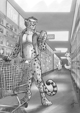 animal_genitalia anthro athletic athletic_anthro athletic_male balls bottomless can clothed clothing container front_view genitals grocery_store group hair holding_can holding_container holding_object inside male male_anthro markings mouth_closed open_clothing open_topwear penis penis_tip public public_nudity sheath shopping_cart short_hair solo_focus spots spotted_markings spotted_tail standing striped_markings striped_tail stripes tail tail_markings topwear trio hufnaar kyyanno canid canine cheetah felid feline mammal 2022 absurd_res dated hi_res monochrome