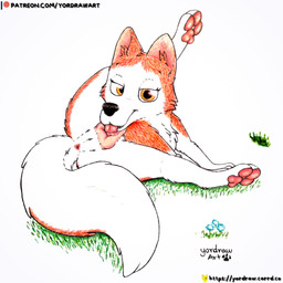 3_toes animal_genitalia animal_vulva anus black_nose butt canine_genitalia canine_vulva cunnilingus feet female feral flower foot_fetish genitals grass legs_up looking_at_viewer oral orange_eyes patreon_logo patreon_username pawpads paws pink_anus pink_vulva plant red_eyes sex smile smiling_at_viewer solo spread_legs spreading text toes tongue tongue_out vaginal vulva yordraw balto_(series) patreon universal_studios jenna_(balto) canid canine canis domestic_dog husky mammal nordic_sled_dog spitz absurd_res hi_res traditional_media_(artwork) url