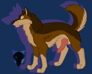 amber_eyes animal_genitalia animal_penis balls brown_body brown_fur canine_genitalia canine_penis digitigrade erection feral fur genitals knot looking_at_viewer male penis presenting presenting_penis quadruped raised_tail simple_background solo tail transparent_background septicsyntax karn_(karn_the_wolf) canid canine canis mammal wolf 2015 5:4 alpha_channel digital_drawing_(artwork) digital_media_(artwork)