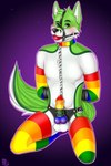 anthro arms_tied armwear ball_gag balls black_nose bound chain clothing collar erection front_view fur gag genitals green_body green_eyes green_fur hair leather leather_clothing leather_underwear legwear lgbt_pride lock looking_at_viewer male multicolored_armwear multicolored_clothing multicolored_collar multicolored_genitals multicolored_legwear multicolored_penis multicolored_thigh_highs nude o-ring penis pride_color_accessory pride_color_armwear pride_color_clothing pride_color_collar pride_color_genitals pride_color_legwear pride_color_penis pride_colors rainbow_armwear rainbow_clothing rainbow_collar rainbow_legwear rainbow_penis rainbow_pride_clothing rainbow_pride_collar rainbow_pride_colors rainbow_pride_penis rainbow_symbol rainbow_thigh_highs ring_(hardware) simple_background six-stripe_rainbow_pride_colors solo straps super_gay thigh_highs underwear vein veiny_penis white_body white_fur polly-lolly fidget_the_fox canid canine fox mammal digital_media_(artwork)