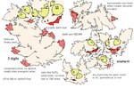 ambiguous_gender feral fur multi_eye multi_leg multi_limb red_teeth simple_background smile solo tan_body tan_fur teeth text white_background yellow_sclera 2n2n monster 2015 english_text model_sheet