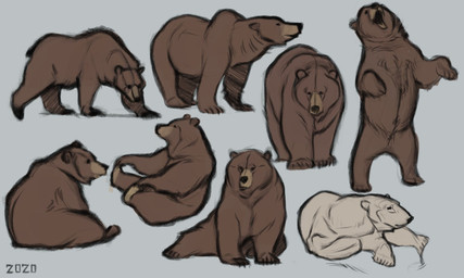 black_nose brown_body brown_fur feral fur lying on_hind_legs sitting standing walking white_body white_fur alexpahomov bear brown_bear mammal polar_bear ursine 2020 5:3 digital_drawing_(artwork) digital_media_(artwork) multiple_images sketch