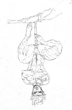 anthro barefoot biped branch clinging clothed clothing crossed_arms feet front_view hair hanging_by_tail hanging_from_branch in_tree male muscular muscular_anthro muscular_male plant short_hair simple_background solo tail tattoo thong topless tree underwear upside_down white_background brett_booth haplorhine mammal monkey primate black_and_white monochrome