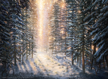 ambiguous_gender day detailed_background feral forest fur grass outside plant snow snow_on_trees solo tail tree walking white_body white_fur alayna_danner hasbro magic:_the_gathering wizards_of_the_coast arctic_fox canid canine fox mammal true_fox 2019 digital_media_(artwork) hi_res official_art