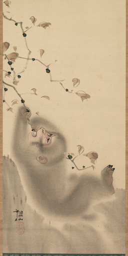5_fingers ambiguous_feral ambiguous_gender branch clinging detailed_background distressed feral fingers fur hanging_from_branch leaf looking_up open_mouth outside plantigrade short_tail solo tail teeth tongue mori_sosen public_domain haplorhine japanese_macaque macaque mammal monkey old_world_monkey primate 1780 18th_century absurd_res ancient_art hi_res huge_filesize painting_(artwork) traditional_media_(artwork) traditional_painting_(artwork)