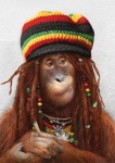 beads dreadlocks drugs male marijuana rasta solo third-party_edit yulia_malanina ape haplorhine mammal orangutan primate colorful_theme photo_manipulation