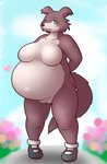 alternate_version_at_source anthro beastars belly big_belly big_breasts blush breasts brown_body brown_fur canid canine canis clothing featureless_breasts female footwear footwear_only fur genitals heart_symbol juno_(beastars) mammal monooki333 mostly_nude overweight overweight_anthro overweight_female pregnant pregnant_female pussy solo wolf