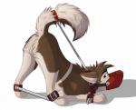 alaskan_malamute anus balls bdsm bondage bound butt canine collar dog feral looking_at_viewer male mammal muzzle_(object) muzzled nomad_genesis presenting presenting_hindquarters raised_tail solo spreader_bar spreading
Rating: Explicit
Score: 15
User: clubwolf
Date: April 07, 2014