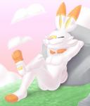 ambiguous_gender eyes_closed outside paws sitting solo rodricoro nintendo pokemon generation_8_pokemon lagomorph mammal pokemon_(species) scorbunny 2019 absurd_res hi_res