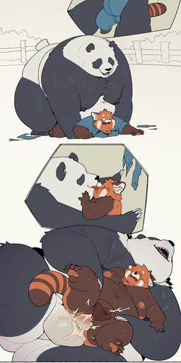 anal anthro belly big_belly black_body black_nose bodily_fluids cum duo ejaculation forced genital_fluids genitals kemono male male/male moobs nipples orange_body overweight overweight_male penis penis_size_difference sex size_difference white_body quanjiang ailurid bear giant_panda mammal red_panda 2025 absurd_res comic hi_res