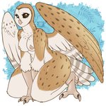 4_toes anisodactyl anthro avian_feet beak breasts eyelashes feathered_wings feathers feet female kneeling nipples non-mammal_breasts non-mammal_nipples solo spots tail tail_feathers tan_body tan_feathers thick_thighs toes wide_hips wings nut-case avian barn_owl bird owl tyto tytonid 1:1 hi_res