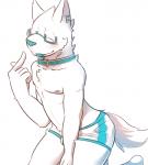 2015 5_fingers anthro biped blue_nose blue_tongue blush briefs bulge canid canine canis clothing collar domestic_dog eyes_closed eyewear fingers fur glasses kemono kneeling male mammal nipples seecle simple_background solo tongue underwear white_background white_body white_fur