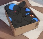 2024 3_toes :< acting_like_a_cat ambiguous_gender black_body black_ears black_fur black_tail blue_body blue_ears blue_fur blue_tail box cardboard cardboard_box cardboard_container colored container detailed_background eeveelution feet feral fluffy fur generation_2_pokemon high-angle_view if_it_fits_i_sits_(meme) inside looking_at_viewer meme nagasaki_wonderful_polyester nintendo one_eye_closed pawpads paws pink_pawpads pokemon pokemon_(species) quadruped shaded shadow shiny_pokemon soles solo tail toes umbreon
