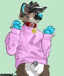 anthro balls biped blue_ears blue_nose blue_paws chastity_cage chastity_device cheek_tuft clothing collar dog_tags facial_tuft fangs femboy fluffy fluffy_ears fluffy_hair footprint genitals hair heterochromia male male_anthro neck_tuft patterns pawpads pawprint paws pink_clothing pink_sweater pink_topwear red_collar skinny slim small_waist smile smiling_at_viewer smirk smirking_at_viewer solo spots sweater teeth topwear tuft wearing_chastity_cage wearing_chastity_device shibatoast canid canine hyena mammal absurd_res hi_res