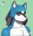 anthro blue_body blue_fur brown_eyes fur looking_at_viewer male scar solo white_body white_fur kurosita nintendo pokemon husky_lucario canid canine generation_4_pokemon lucario mammal pokemon_(species) hi_res