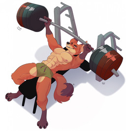 abs anthro barbell bench_press biceps blush bodily_fluids bulge clothed clothing exercise male muscular muscular_anthro muscular_male pecs smile solo sweat topless weightlifting weights workout laphund_(artist) disney zootopia nick_wilde canid canine fox mammal red_fox true_fox hi_res