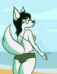 anthro anthrofied beach big_breasts big_butt breasts butt canid canine clothed clothing eyewear female fluffy fluffy_tail fur glasses hi_res homestuck jade_harley looking_at_viewer looking_back mammal ms_paint_adventures nokamiwd seaside simple_background solo swimwear tail thick_thighs white_body white_fur