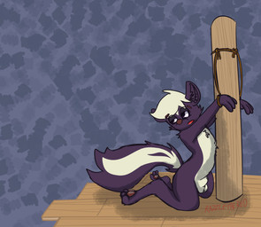 animal_genitalia anthro arms_tied ball_tuft balls bdsm bondage bound cheek_tuft facial_tuft flaccid floor genitals half-closed_eyes hands_tied kneeling male narrowed_eyes pawpads paws penis restraints rope rope_bondage sheath skunk_tail solo tail tail_tuft tied_to_pole tuft wood wood_floor razzle_the_red razzle_(razzle_the_red) mammal mephitid skunk absurd_res hi_res